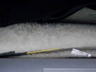 צ'אט וידאו ארוטי sexysapphiresweet