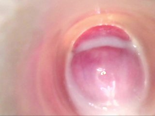 צ'אט וידאו ארוטי Shannon-kane