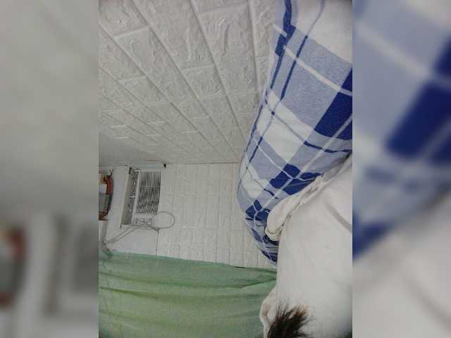 צילומי מסך משודרים single332