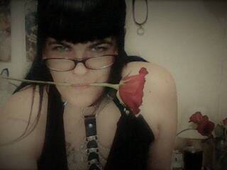 צ'אט וידאו ארוטי SinLove4u