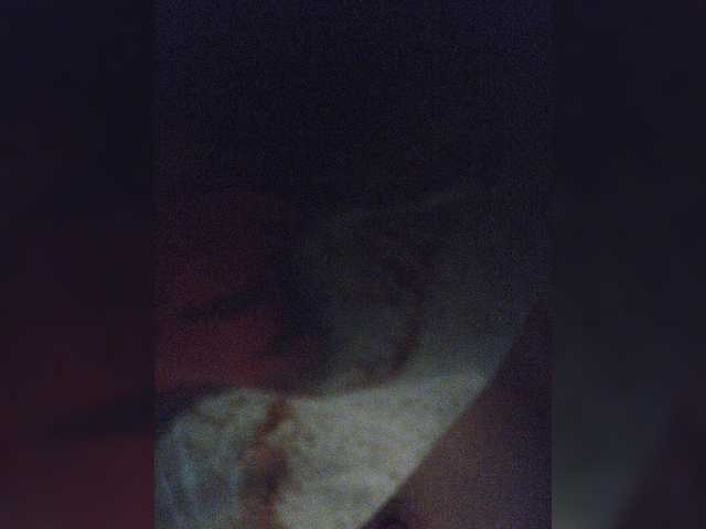 צילומי מסך משודרים small-cat