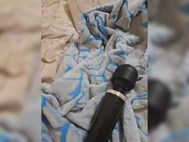 צילומי מסך משודרים small-cat