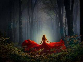 צ'אט וידאו ארוטי Sofi99