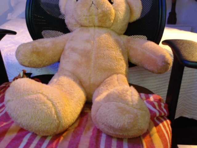 צילומי מסך משודרים SofiaZapata