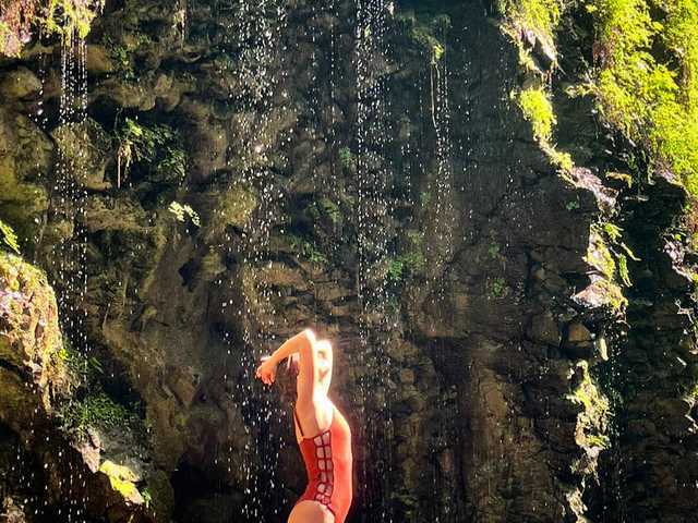 תמונה של הפרופיל Sophialanguage