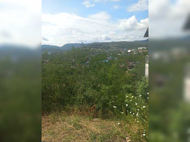 צילומי מסך משודרים Stevenmax1