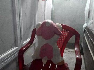 צ'אט וידאו ארוטי Susu-21