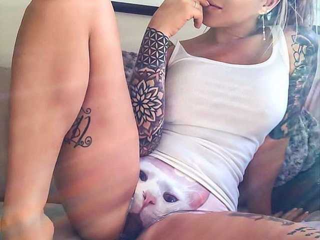 תמונה של הפרופיל SweetFox