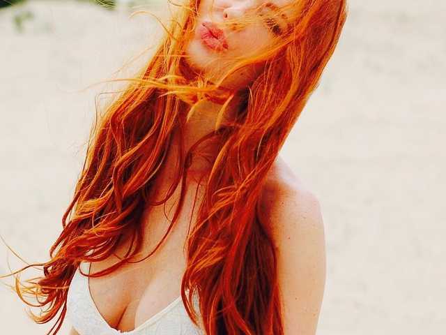 תמונה של הפרופיל SweetFox