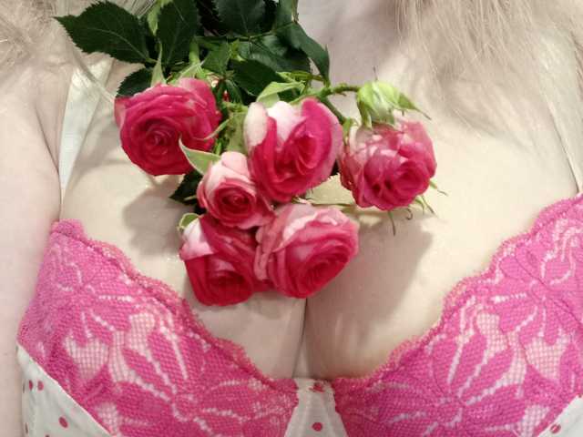 תמונה של הפרופיל SweetFox