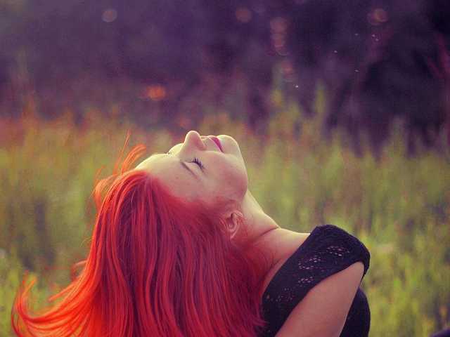 תמונה של הפרופיל SweetFox