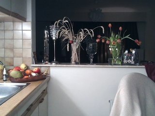 צ'אט וידאו ארוטי UllimOhi