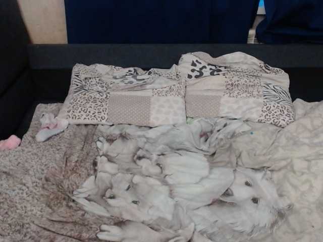 צילומי מסך משודרים VikiMax69