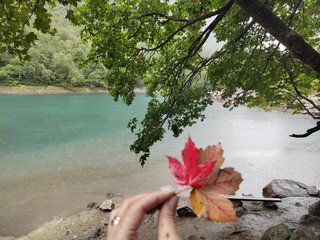 צ'אט וידאו ארוטי _GoodGirl_