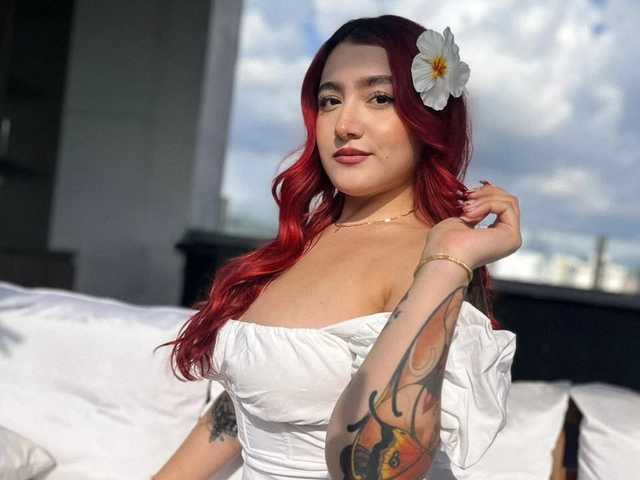 תמונה של הפרופיל ViolettCastel