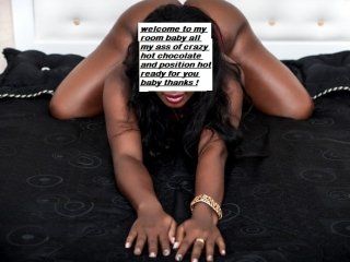 תמונה של הפרופיל wetamy