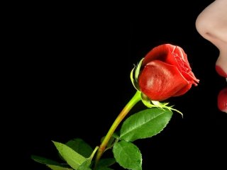 תמונה של הפרופיל xxsweetlady
