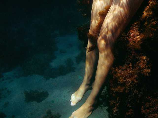 תמונה של הפרופיל Zara2000